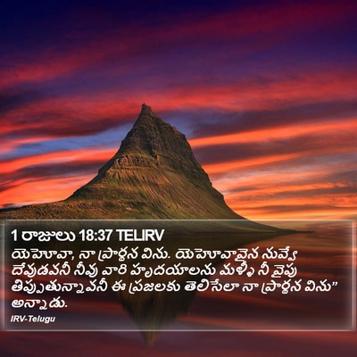 1 రాజులు 18:37 TELIRV Bible Verse Image