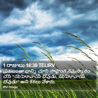 1 రాజులు 18:39 TELIRV Bible Verse Image
