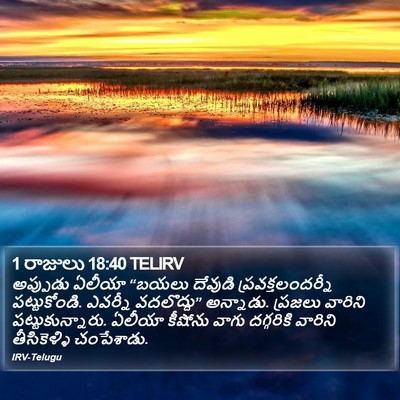 1 రాజులు 18:40 TELIRV Bible Verse Image