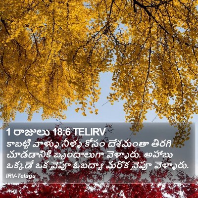 1 రాజులు 18:6 TELIRV Bible Verse Image