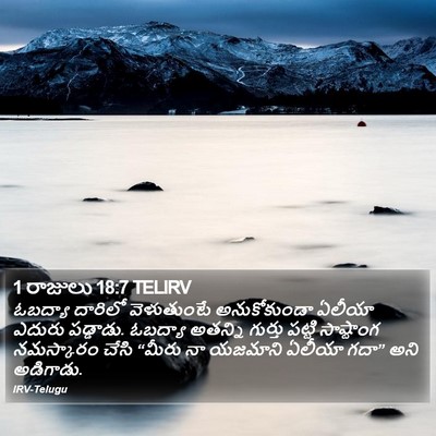 1 రాజులు 18:7 TELIRV Bible Verse Image