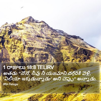 1 రాజులు 18:8 TELIRV Bible Verse Image