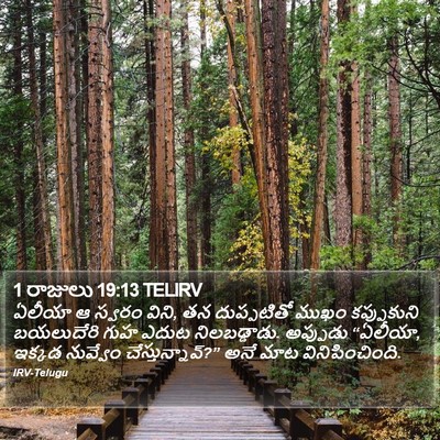 1 రాజులు 19:13 TELIRV Bible Verse Image