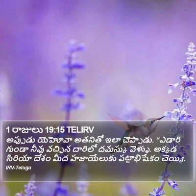1 రాజులు 19:15 TELIRV Bible Verse Image