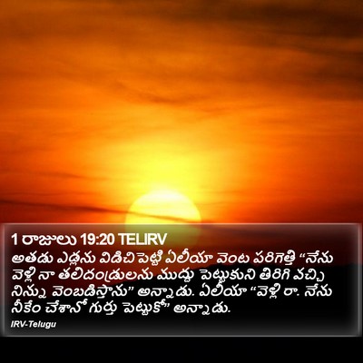 1 రాజులు 19:20 TELIRV Bible Verse Image
