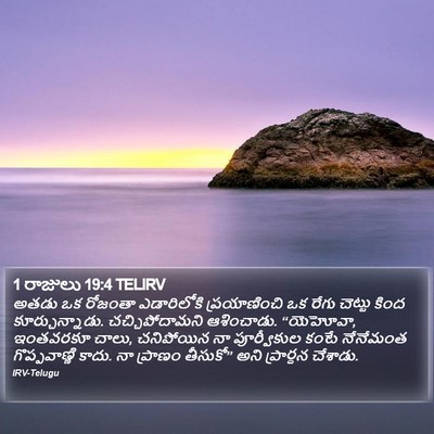 1 రాజులు 19:4 TELIRV Bible Verse Image