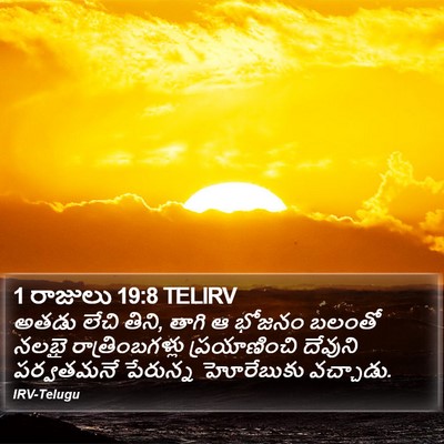 1 రాజులు 19:8 TELIRV Bible Verse Image