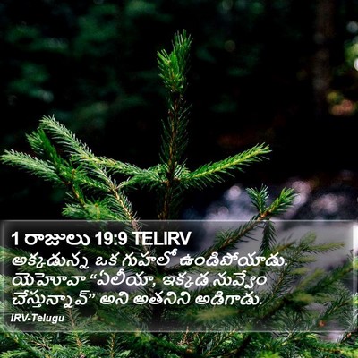 1 రాజులు 19:9 TELIRV Bible Verse Image