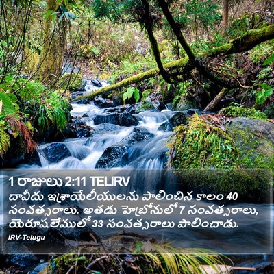 1 రాజులు 2:11 TELIRV Bible Verse Image