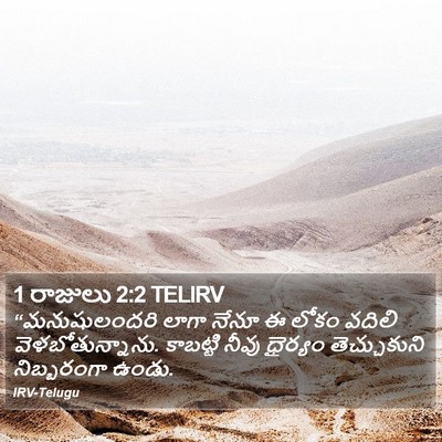 1 రాజులు 2:2 TELIRV Bible Verse Image