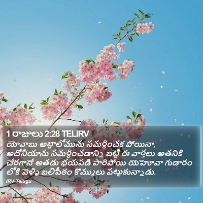 1 రాజులు 2:28 TELIRV Bible Verse Image