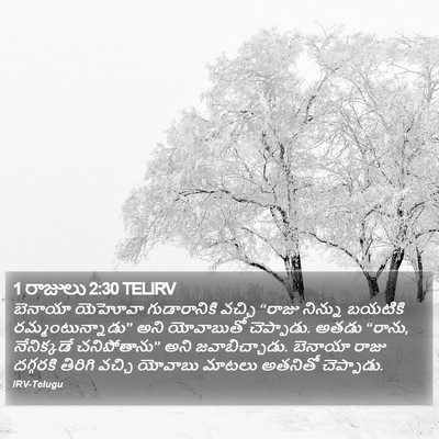 1 రాజులు 2:30 TELIRV Bible Verse Image