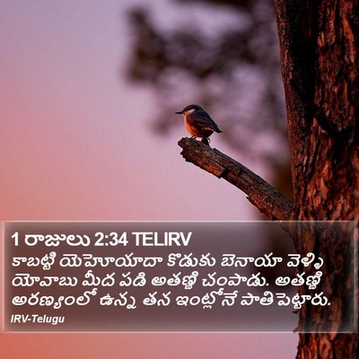 1 రాజులు 2:34 TELIRV Bible Verse Image