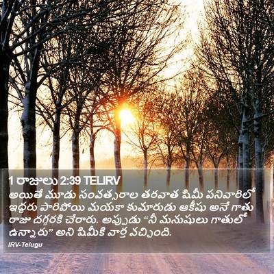 1 రాజులు 2:39 TELIRV Bible Verse Image