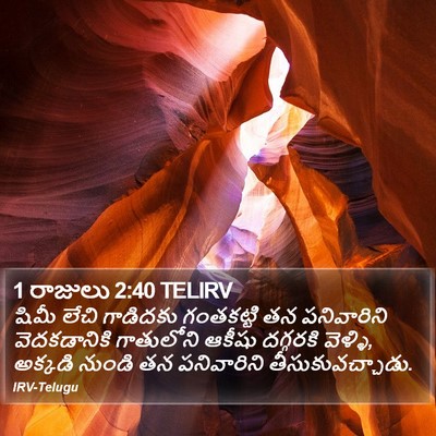 1 రాజులు 2:40 TELIRV Bible Verse Image