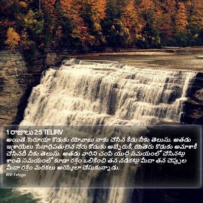 1 రాజులు 2:5 TELIRV Bible Verse Image