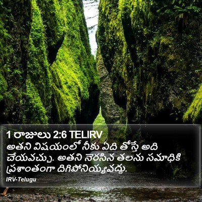 1 రాజులు 2:6 TELIRV Bible Verse Image