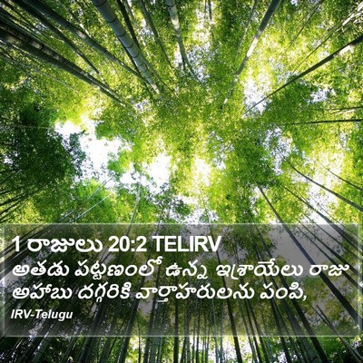 1 రాజులు 20:2 TELIRV Bible Verse Image