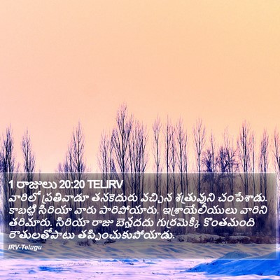 1 రాజులు 20:20 TELIRV Bible Verse Image