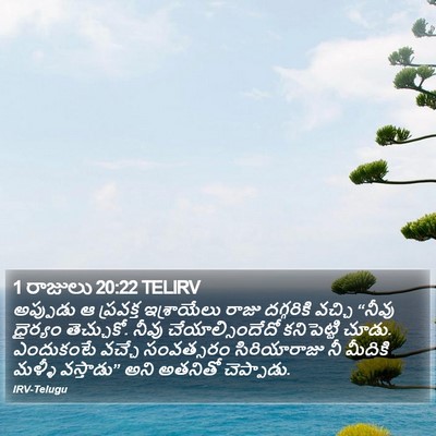 1 రాజులు 20:22 TELIRV Bible Verse Image