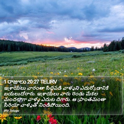 1 రాజులు 20:27 TELIRV Bible Verse Image