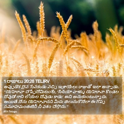 1 రాజులు 20:28 TELIRV Bible Verse Image