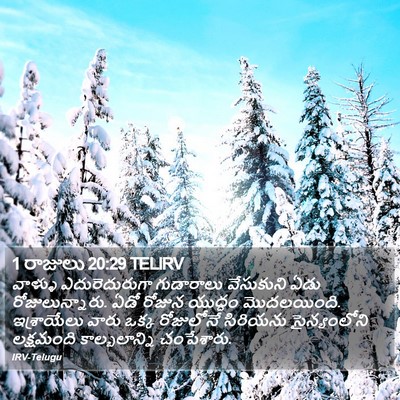 1 రాజులు 20:29 TELIRV Bible Verse Image