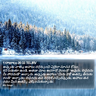 1 రాజులు 20:33 TELIRV Bible Verse Image