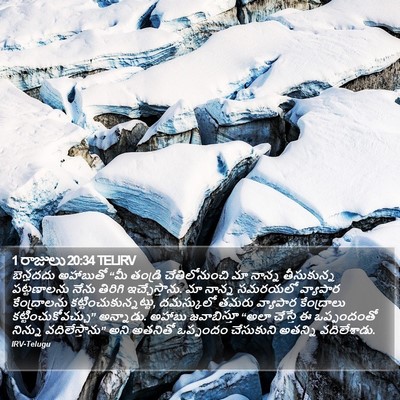 1 రాజులు 20:34 TELIRV Bible Verse Image