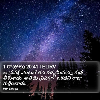1 రాజులు 20:41 TELIRV Bible Verse Image