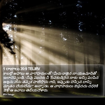 1 రాజులు 20:9 TELIRV Bible Verse Image