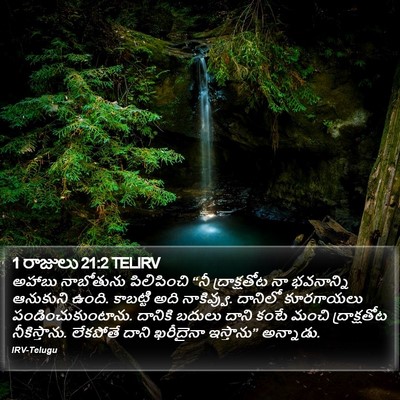 1 రాజులు 21:2 TELIRV Bible Verse Image