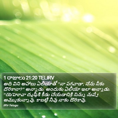 1 రాజులు 21:20 TELIRV Bible Verse Image