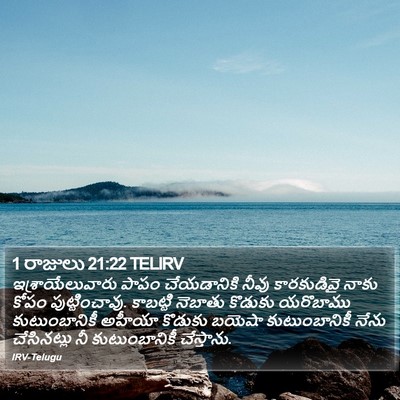 1 రాజులు 21:22 TELIRV Bible Verse Image
