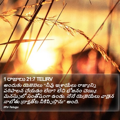 1 రాజులు 21:7 TELIRV Bible Verse Image