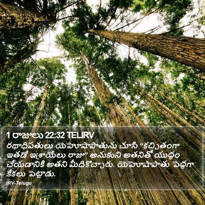 1 రాజులు 22:32 TELIRV Bible Verse Image