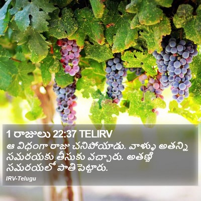 1 రాజులు 22:37 TELIRV Bible Verse Image