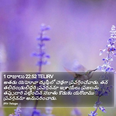 1 రాజులు 22:52 TELIRV Bible Verse Image