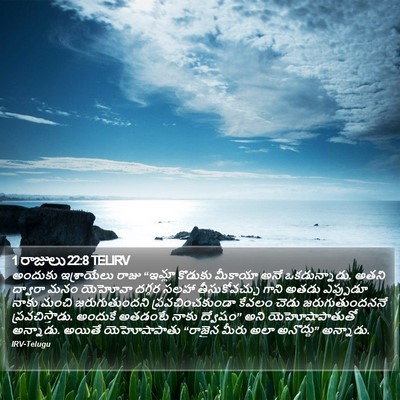 1 రాజులు 22:8 TELIRV Bible Verse Image