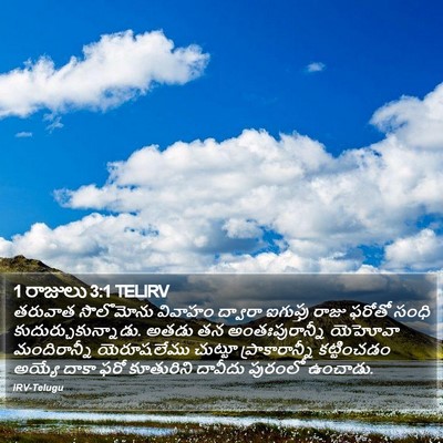 1 రాజులు 3:1 TELIRV Bible Verse Image