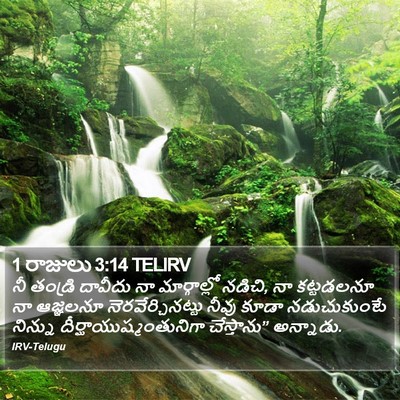 1 రాజులు 3:14 TELIRV Bible Verse Image