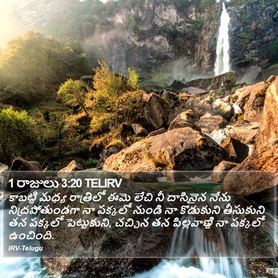 1 రాజులు 3:20 TELIRV Bible Verse Image