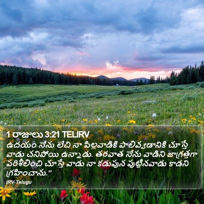 1 రాజులు 3:21 TELIRV Bible Verse Image