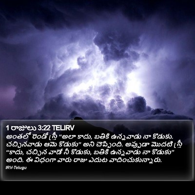 1 రాజులు 3:22 TELIRV Bible Verse Image