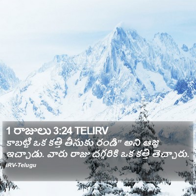 1 రాజులు 3:24 TELIRV Bible Verse Image