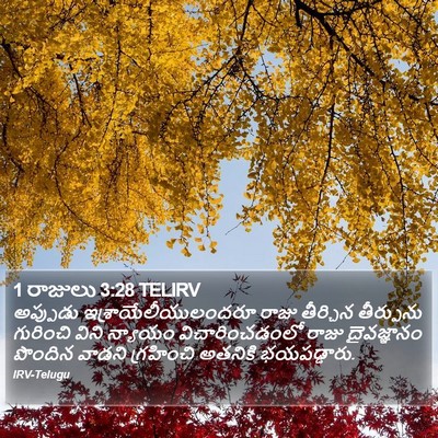1 రాజులు 3:28 TELIRV Bible Verse Image