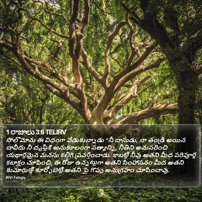 1 రాజులు 3:6 TELIRV Bible Verse Image