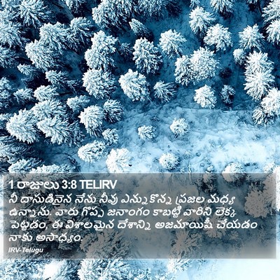 1 రాజులు 3:8 TELIRV Bible Verse Image