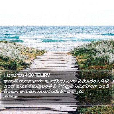 1 రాజులు 4:20 TELIRV Bible Verse Image