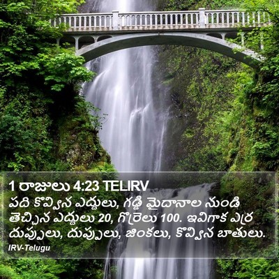 1 రాజులు 4:23 TELIRV Bible Verse Image
